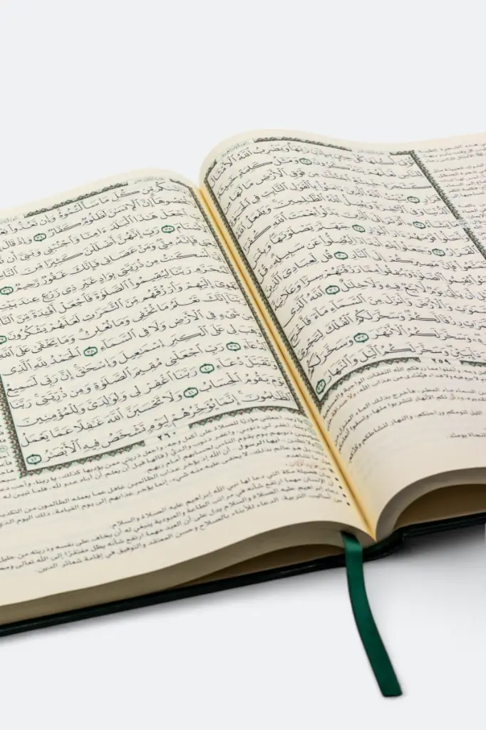 interpretation-of-the-noble-quran.webp