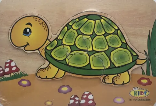 بازل السلحفاة 